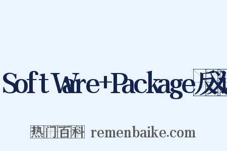SoftWare+Package反义词是什么意思的图片